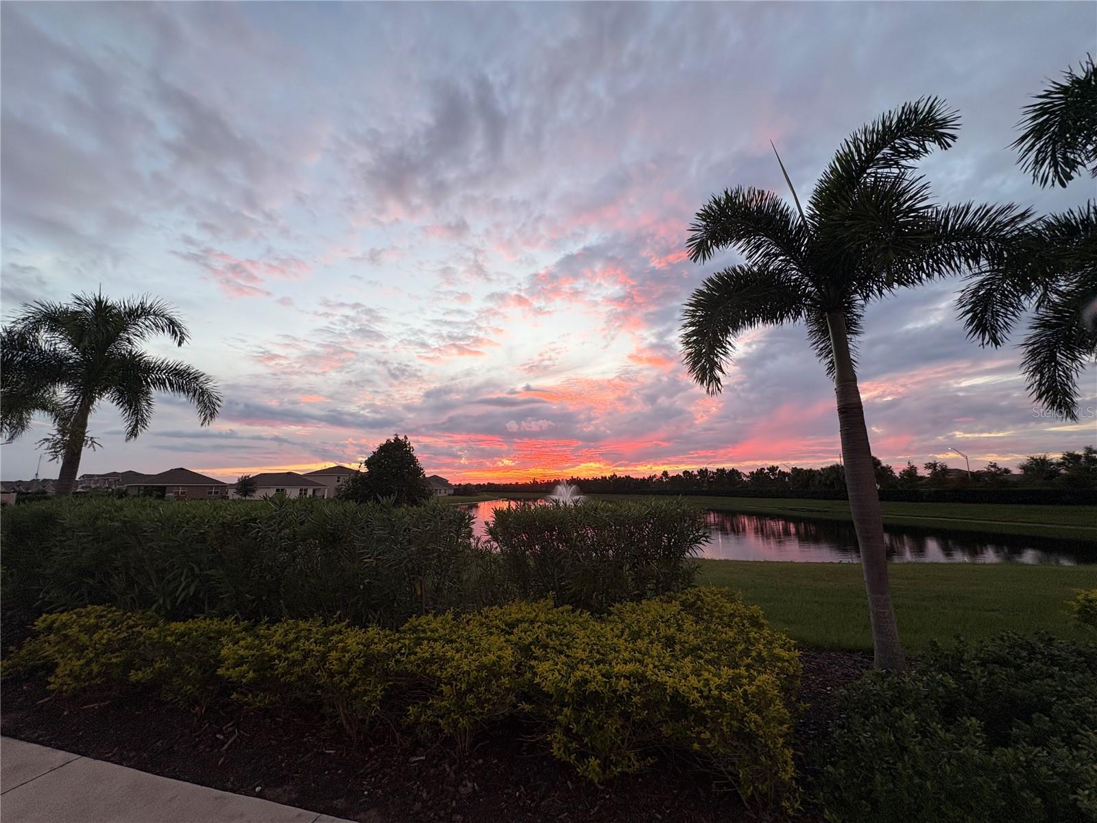 17917 CANOPY PL — photo 3