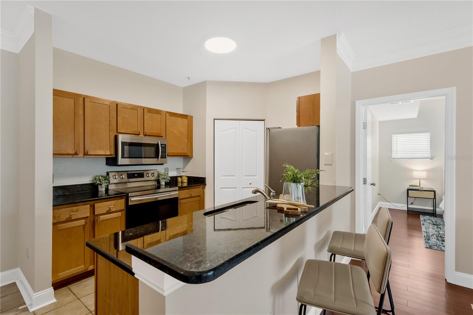 4207 S DALE MABRY HWY #2301 — photo 9