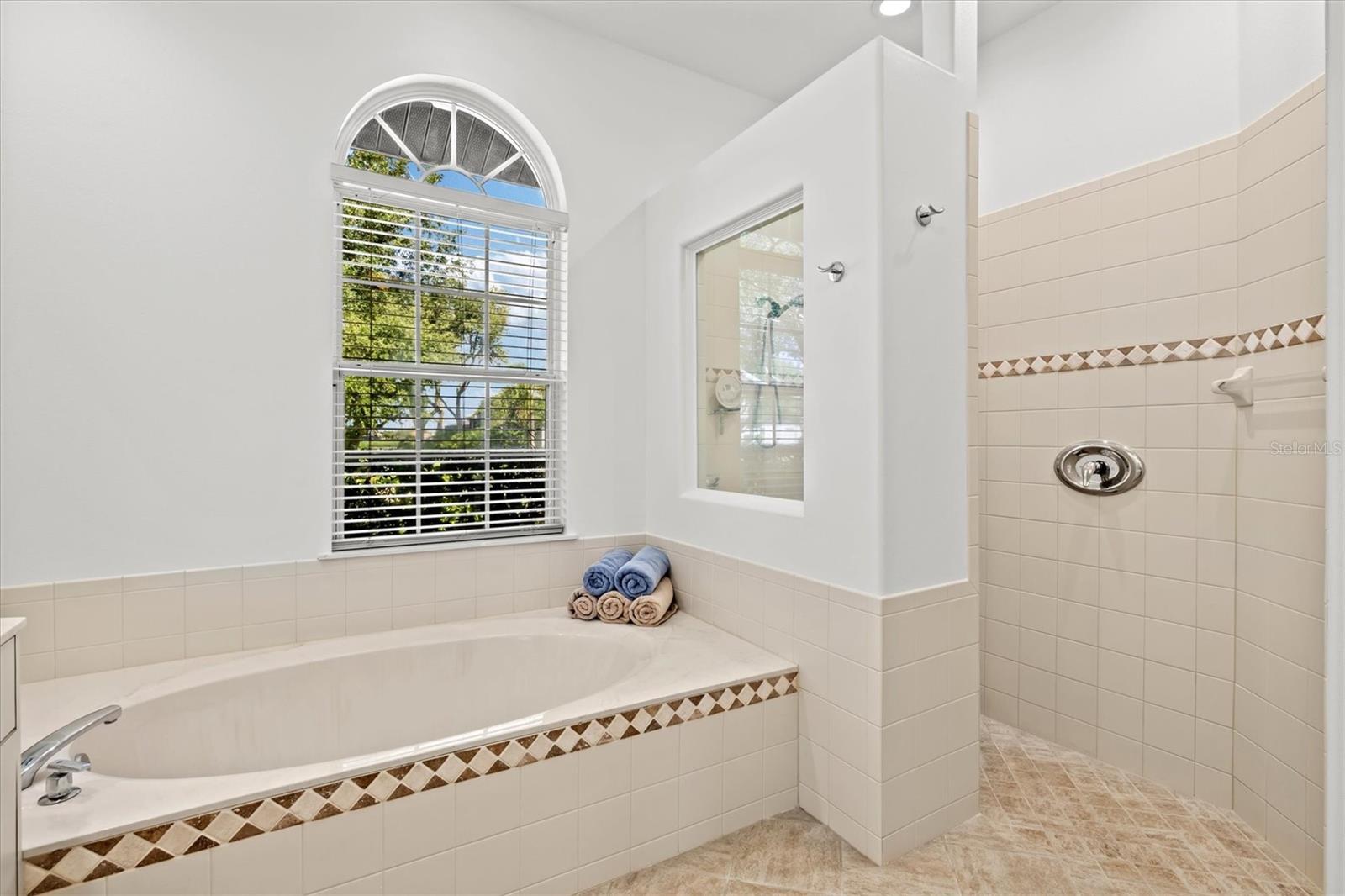 7373 S SERENOA DR — photo 51