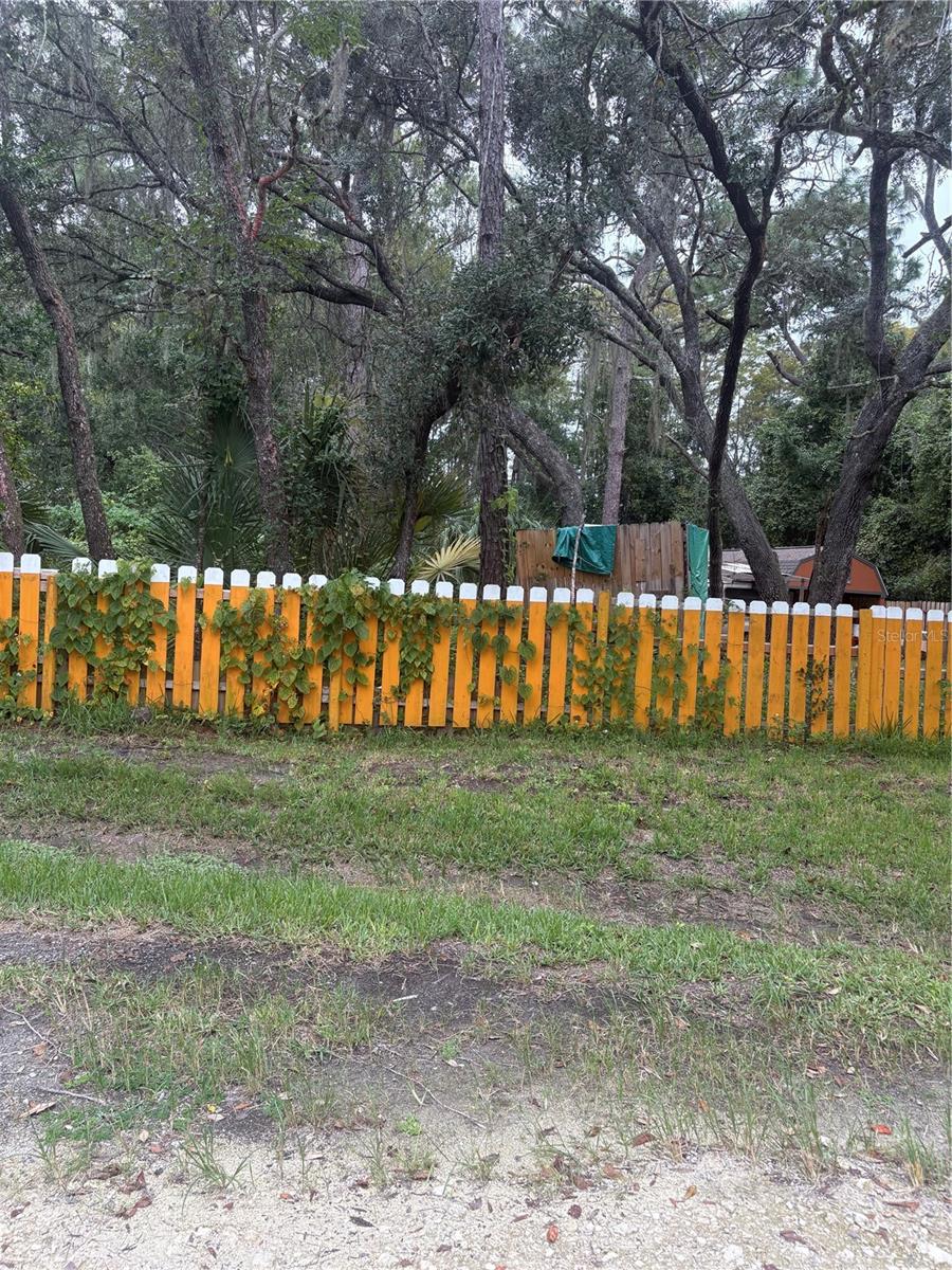 SPARE DR — photo 3