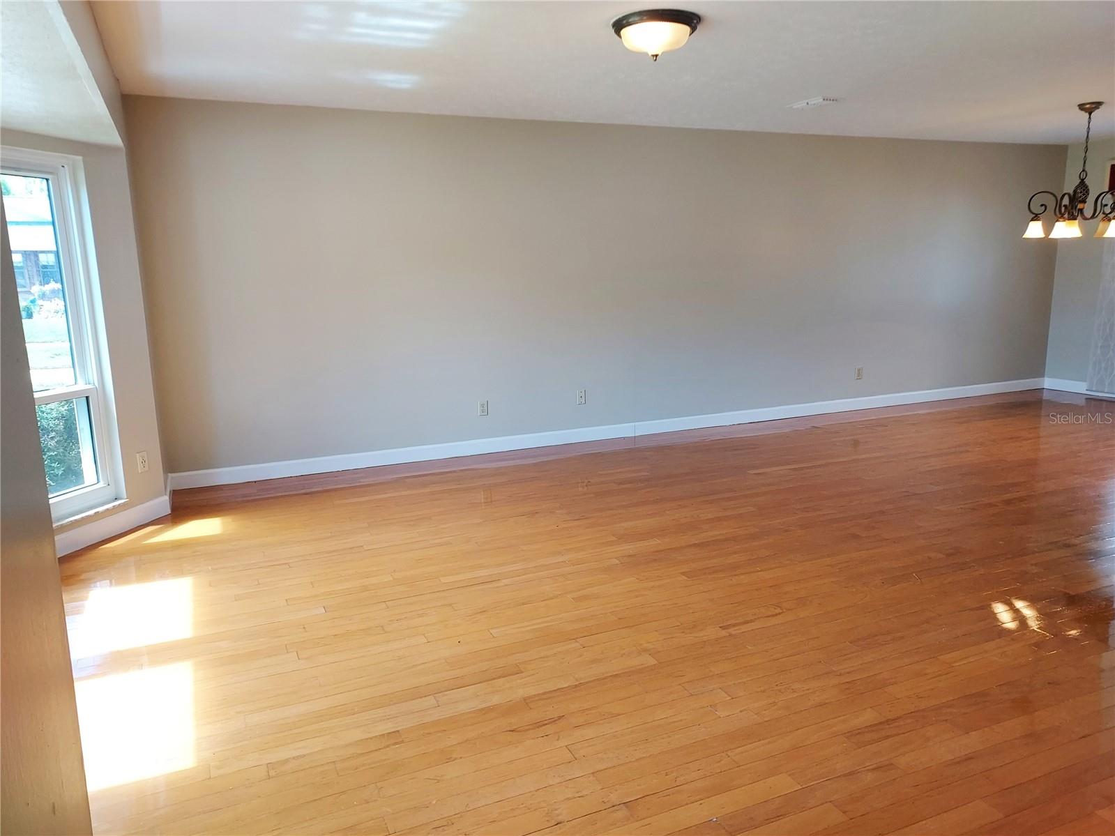 702 HYSSOP PL — photo 9