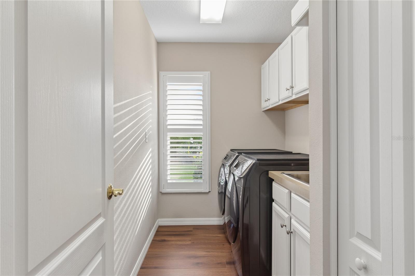 26920 WINGED ELM DR — photo 36
