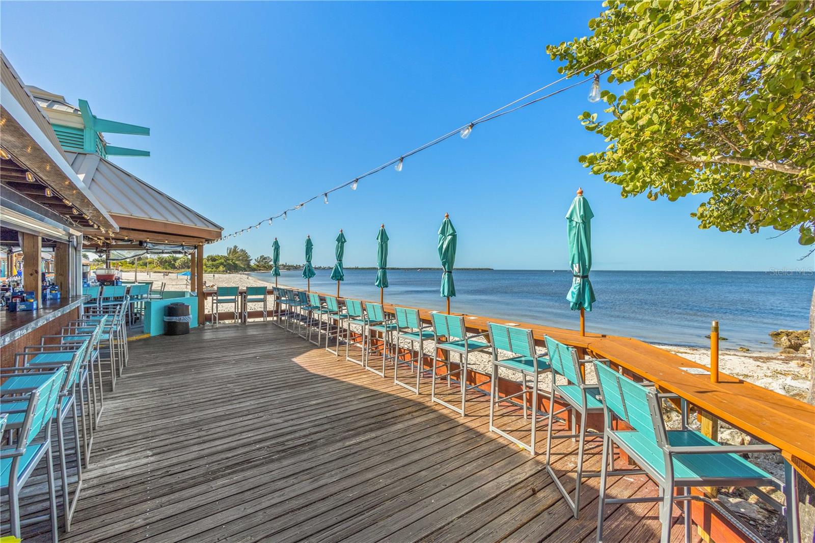 3273 MANGROVE POINT DR — photo 51