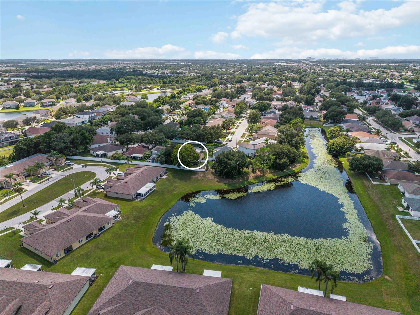 13437 BEECHBERRY DR — photo 40