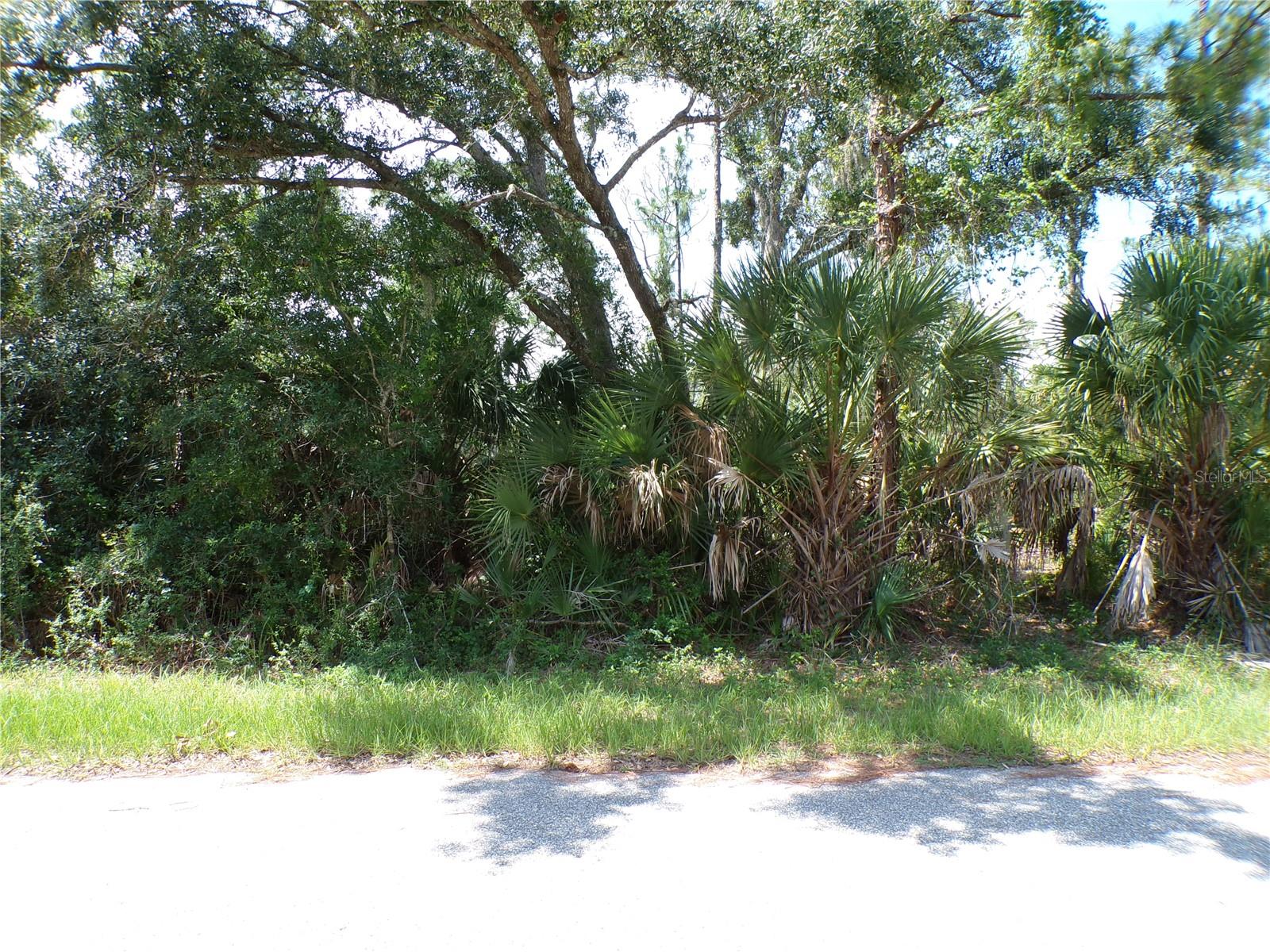 ARMENIA RD — photo 2