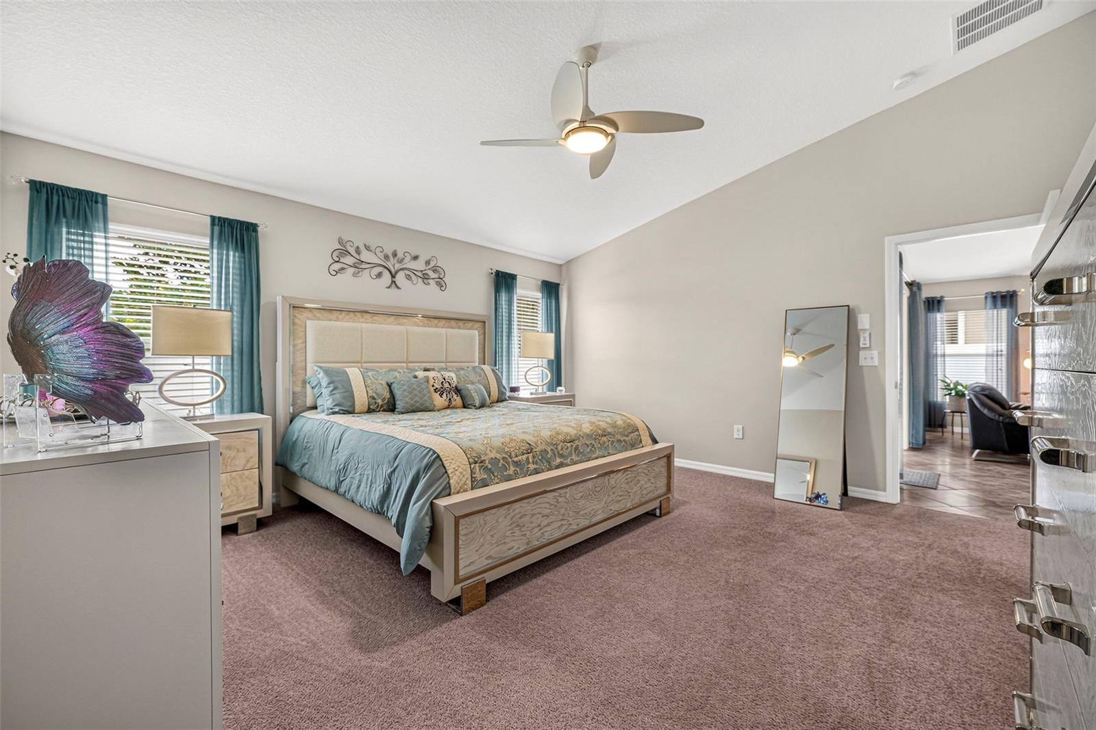 10114 IVES LOOP — photo 36