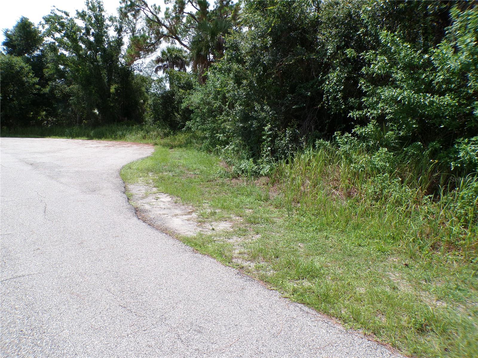 TORCH COURT — photo 6