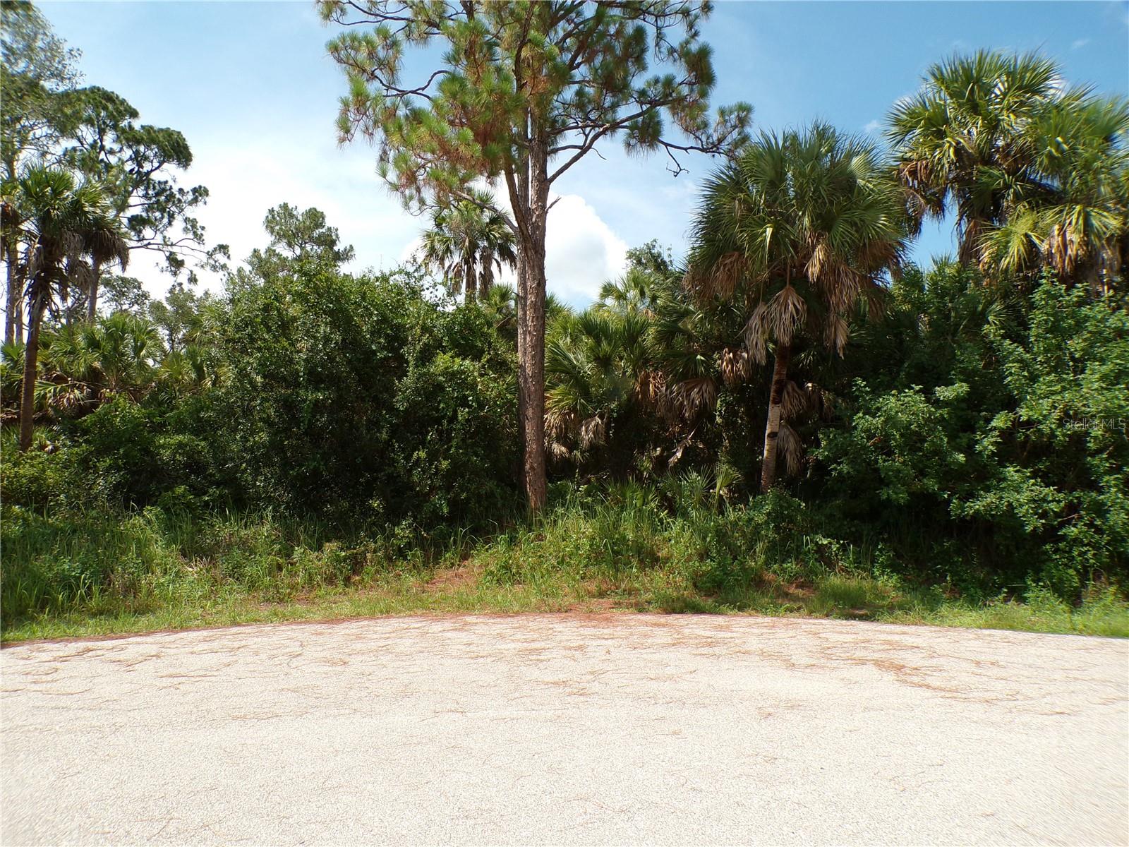 TORCH COURT — photo 2