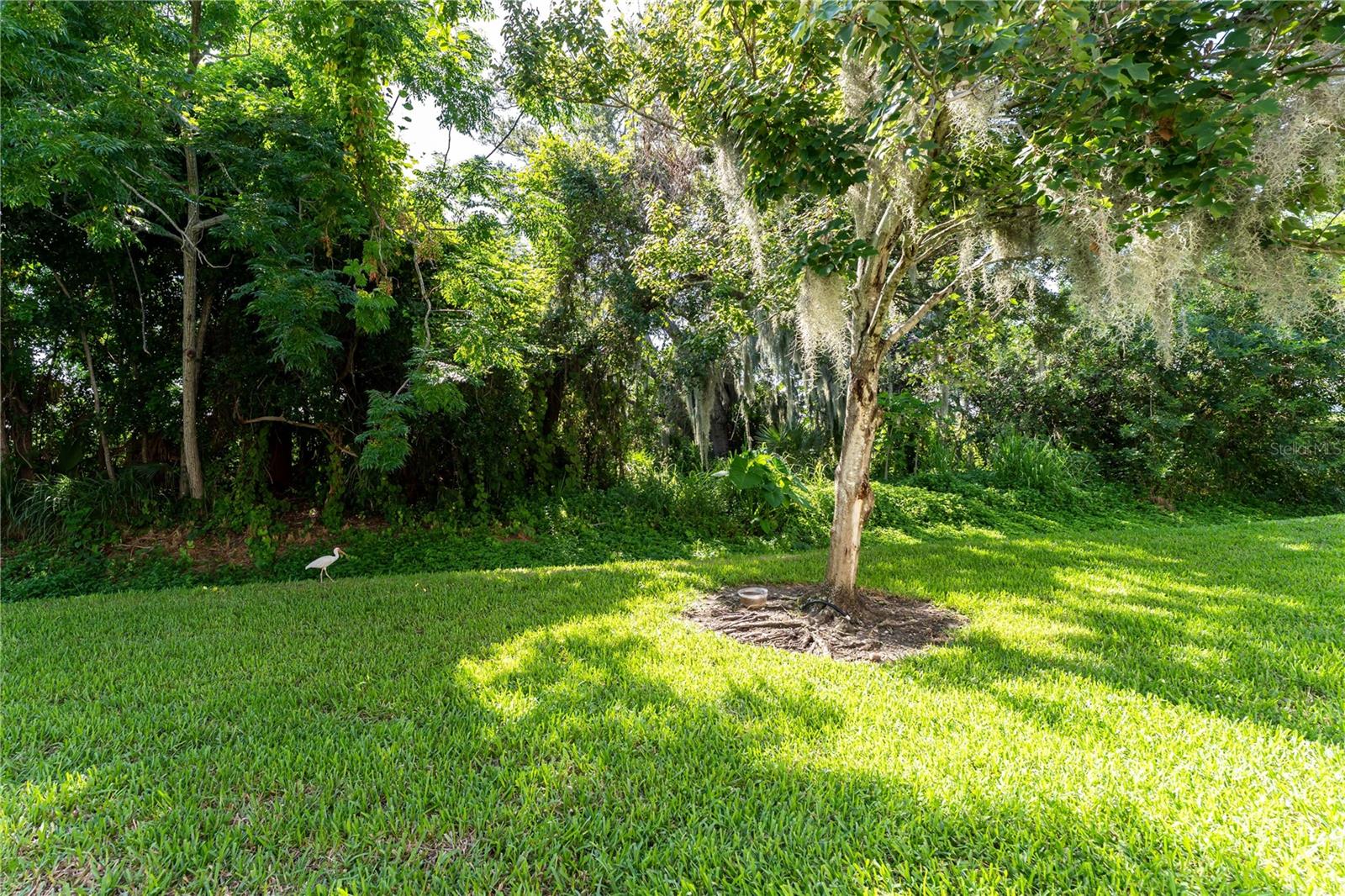 1346 GRANTHAM DR — photo 29