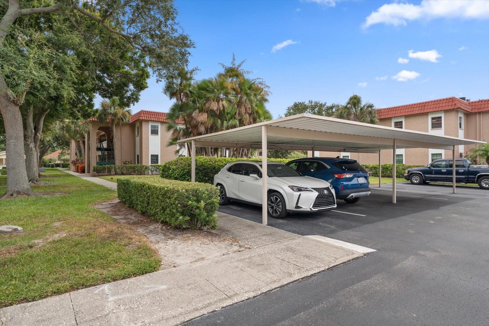 1750 BELLEAIR FOREST DR #B8 — photo 37