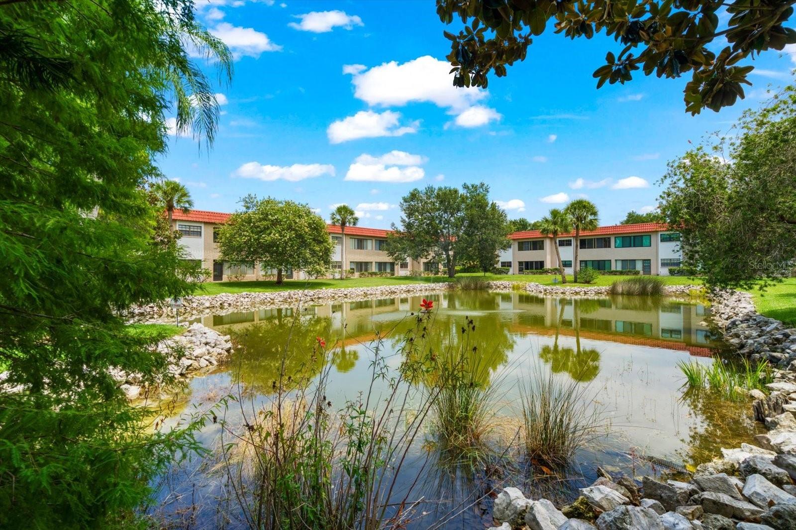 1750 BELLEAIR FOREST DR #B8 — photo 40