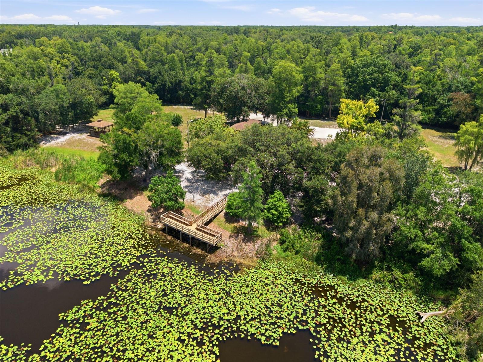 16909 ROLLING ROCK DR — photo 37