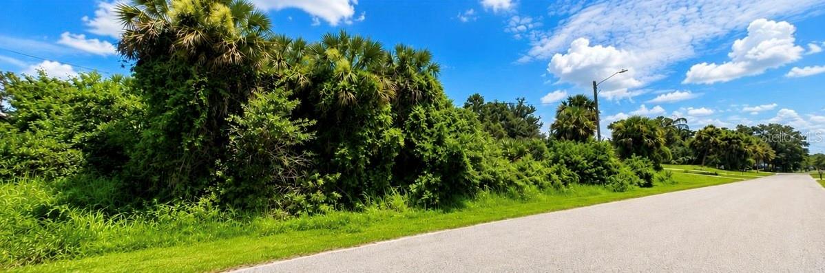 Lot 17 & 18 TUPELO AVE — photo 5