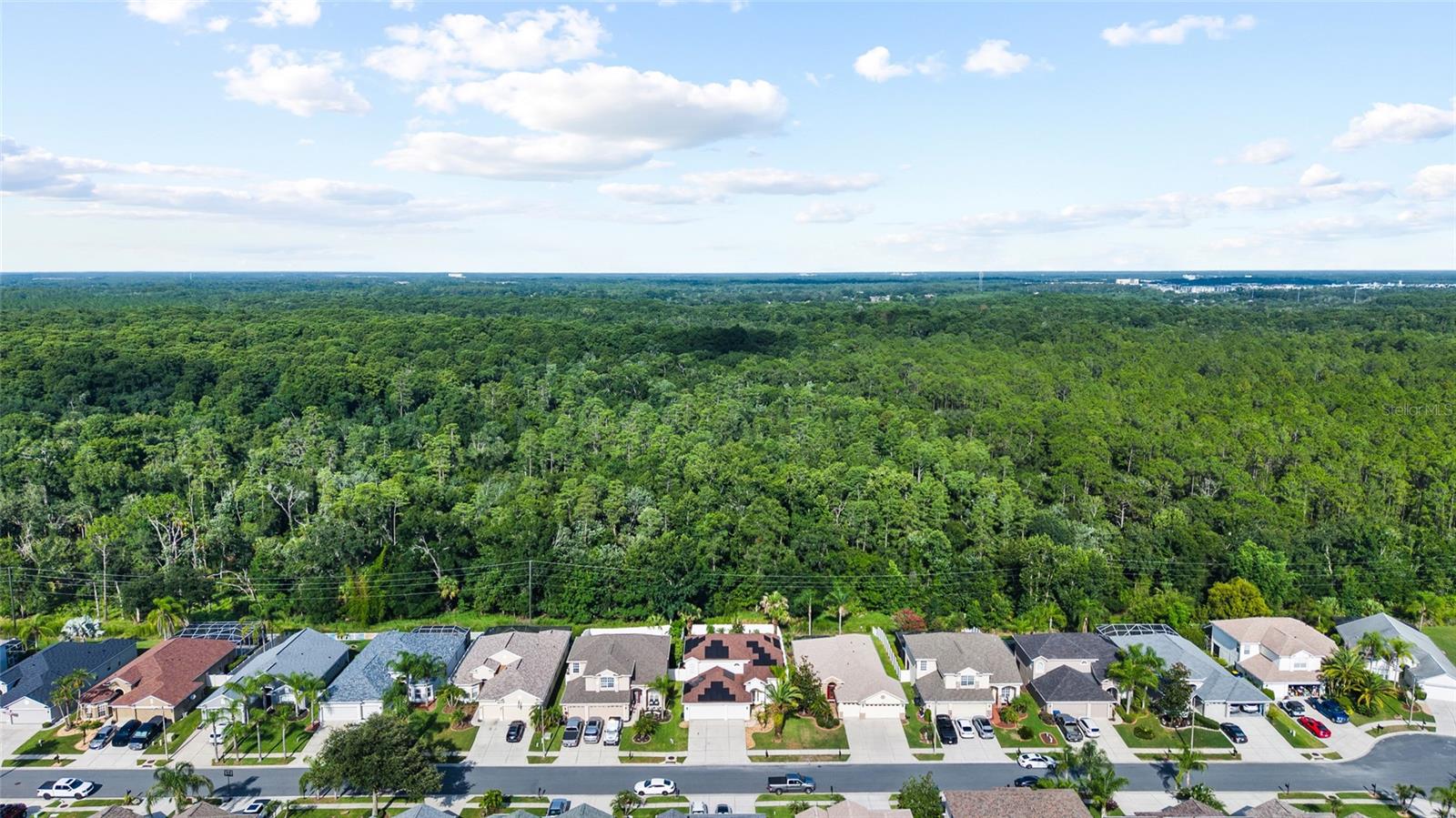 3602 MORGANS BLUFF CT — photo 54
