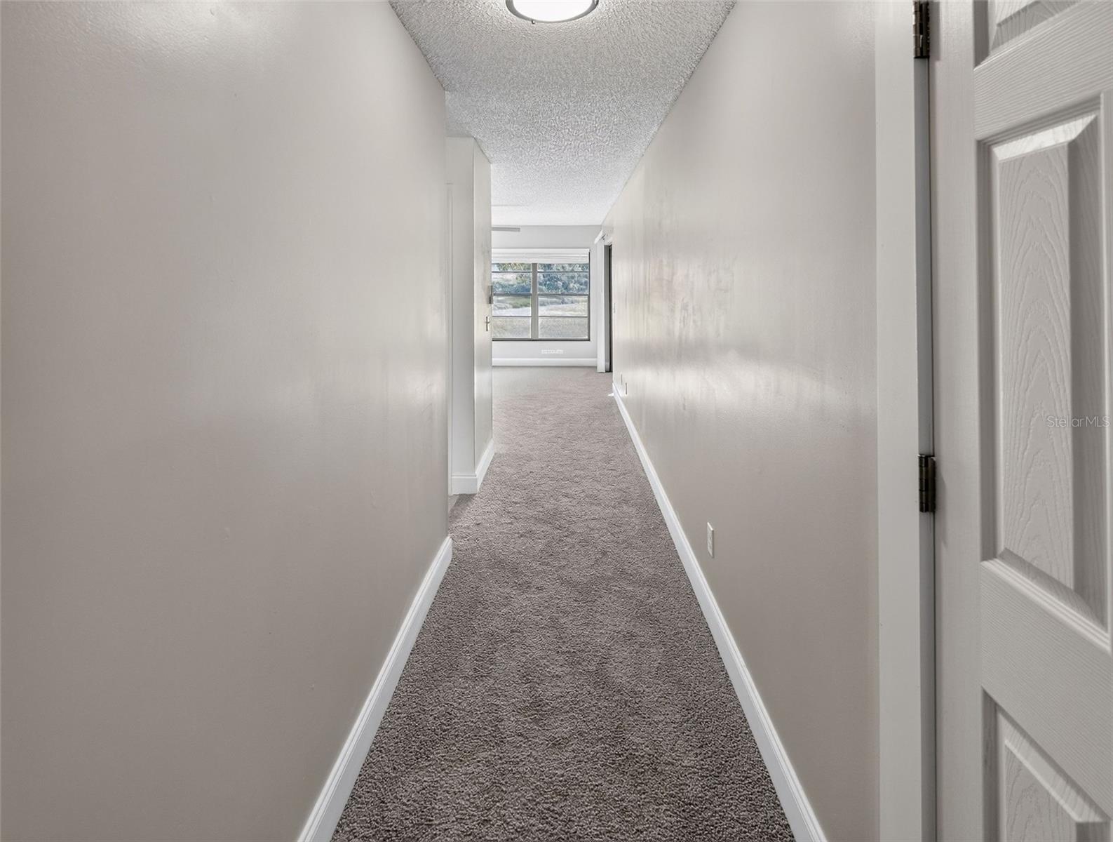 10428 TARA DR — photo 17