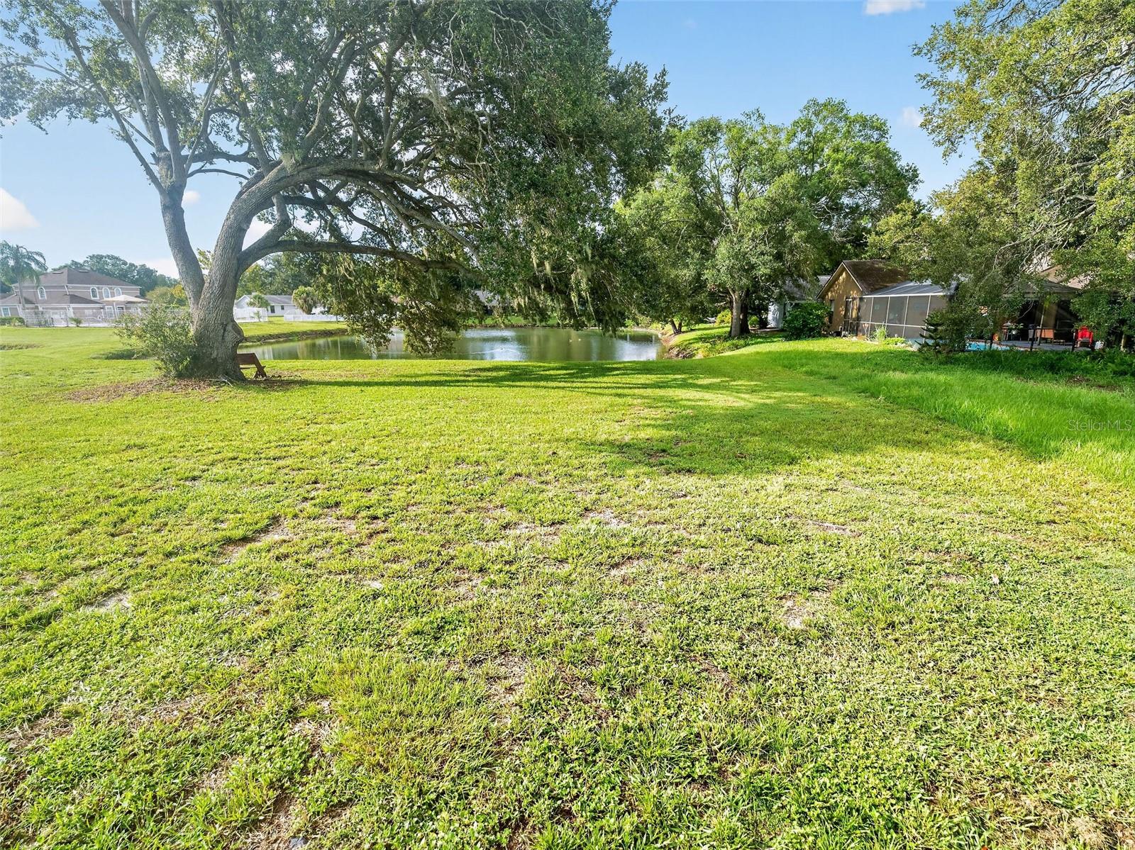10428 TARA DR — photo 36