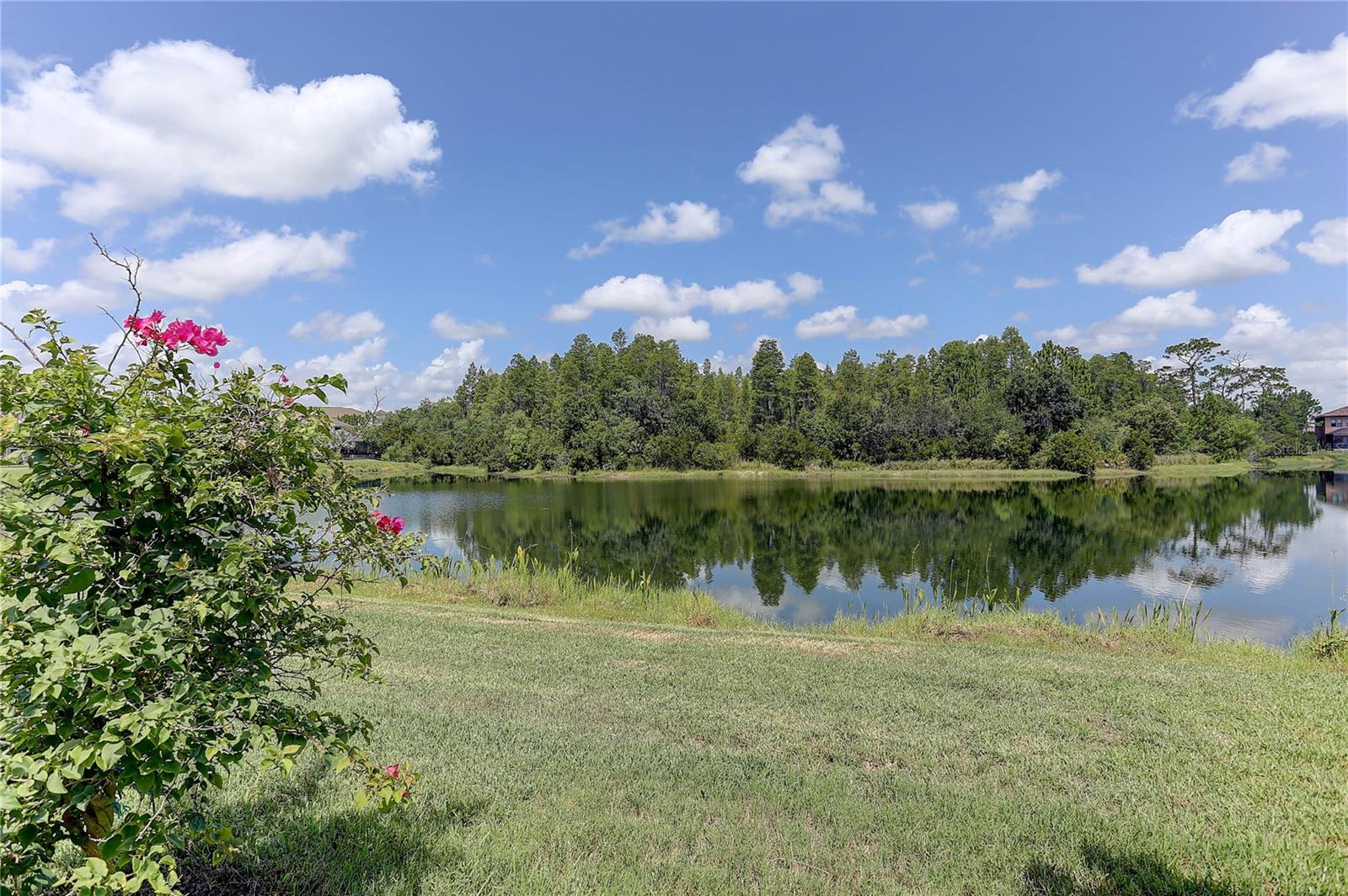 18014 WOODLAND VIEW DR — photo 13
