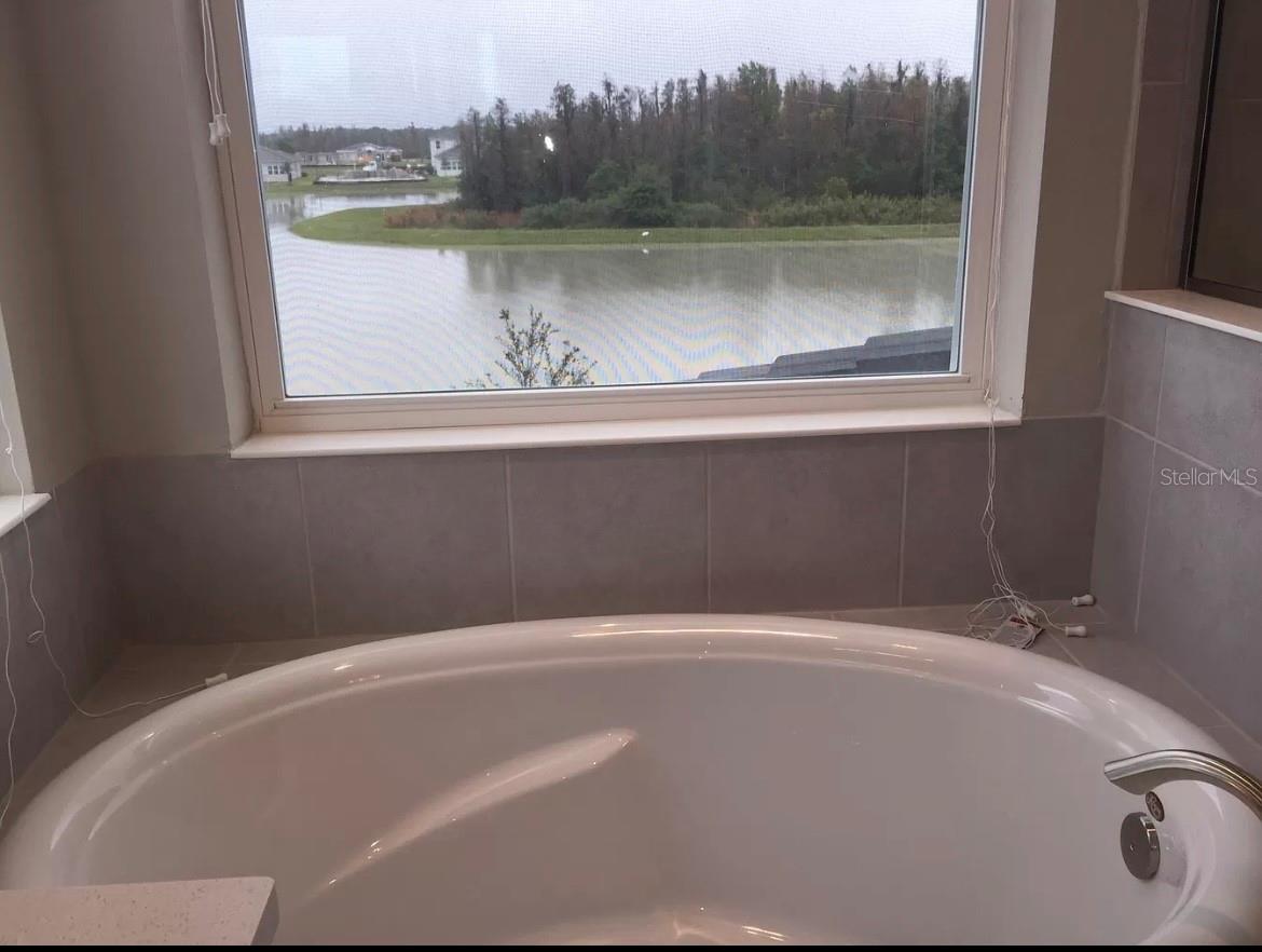 30791 LINDENTREE DR — photo 10