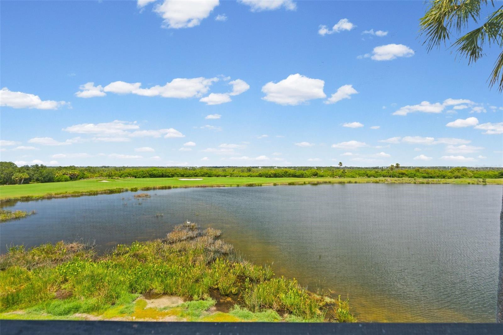 7705 GRAND ESTUARY TRL #307 — photo 36