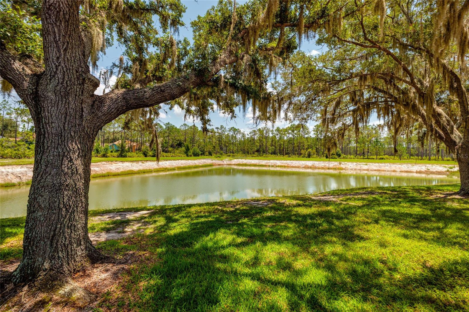 17557 FAIRMEADOW DR — photo 25