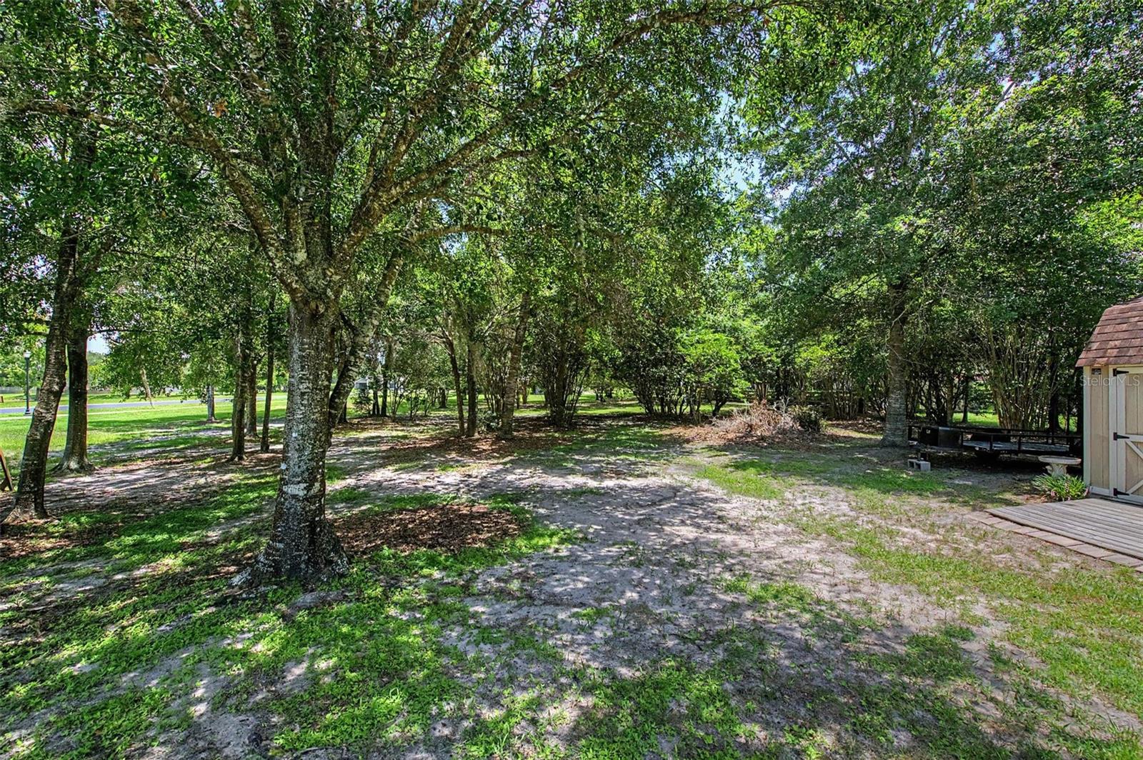 27928 AUSTIN WOODS DRIVE — photo 45