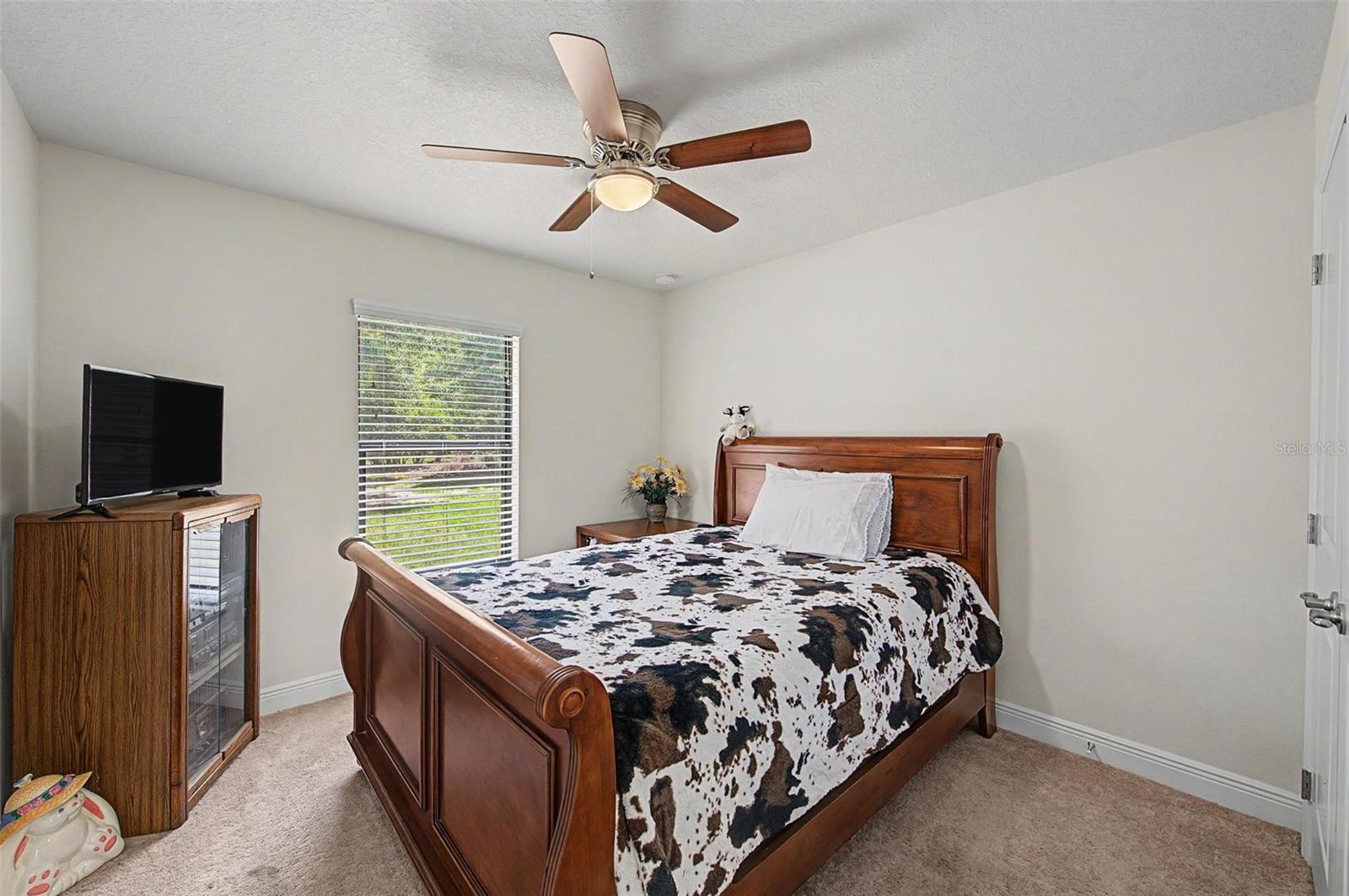 27928 AUSTIN WOODS DRIVE — photo 32