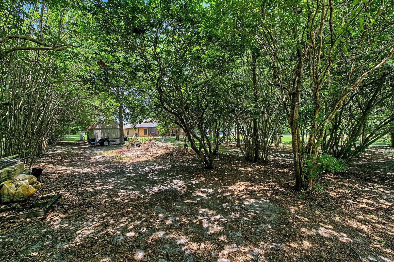 27928 AUSTIN WOODS DRIVE — photo 48