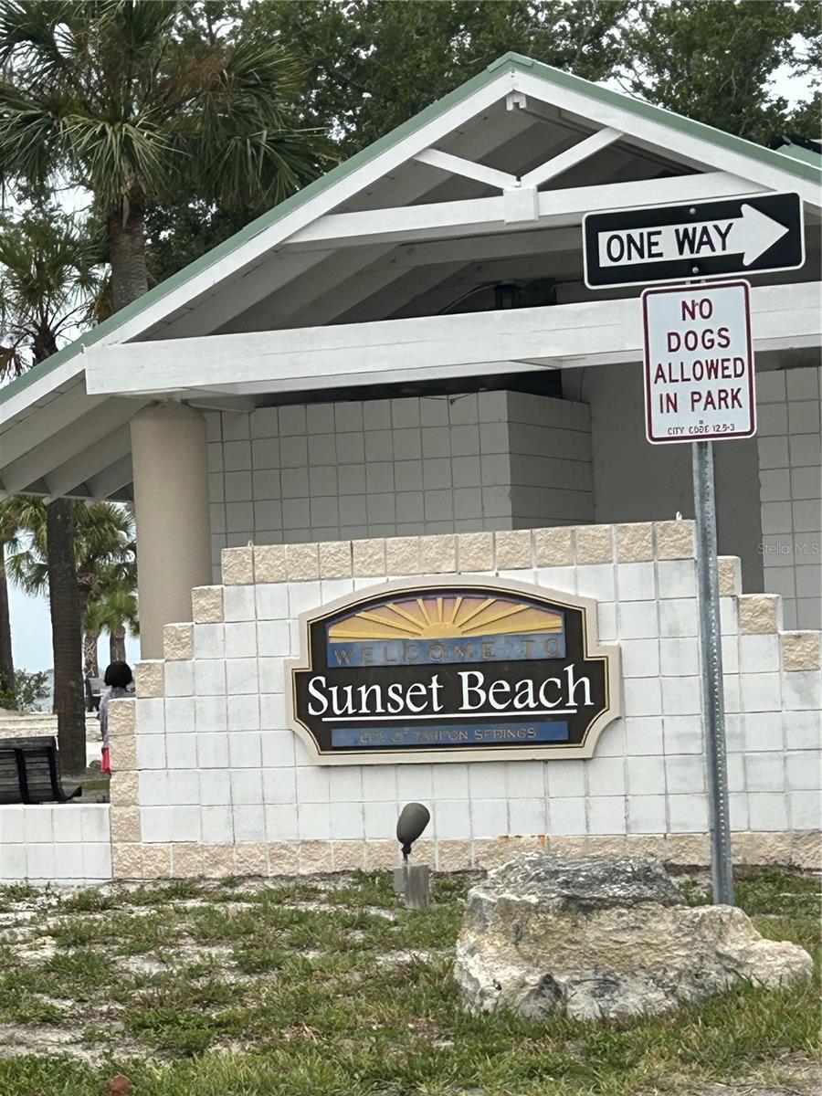 1612 GULF BEACH BLVD — photo 54