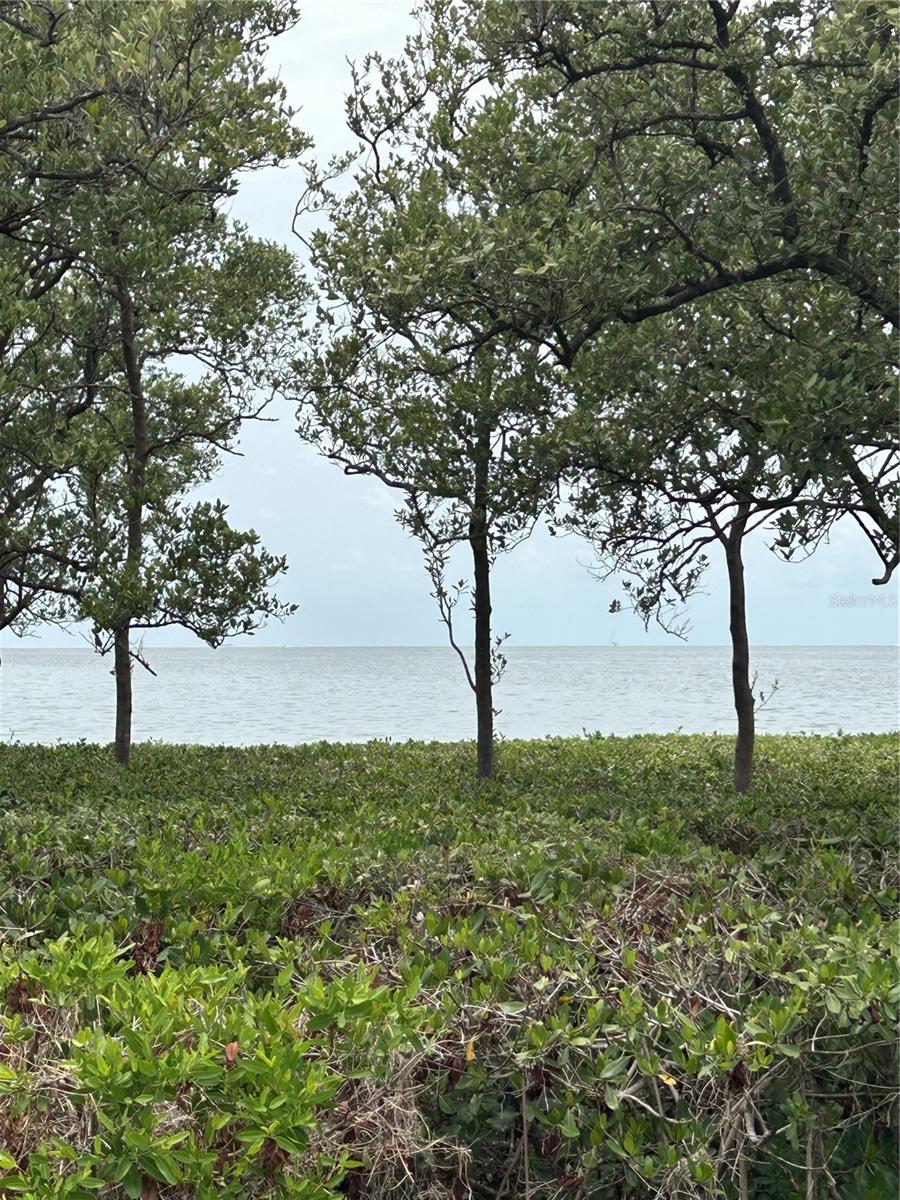 1612 GULF BEACH BLVD — photo 53