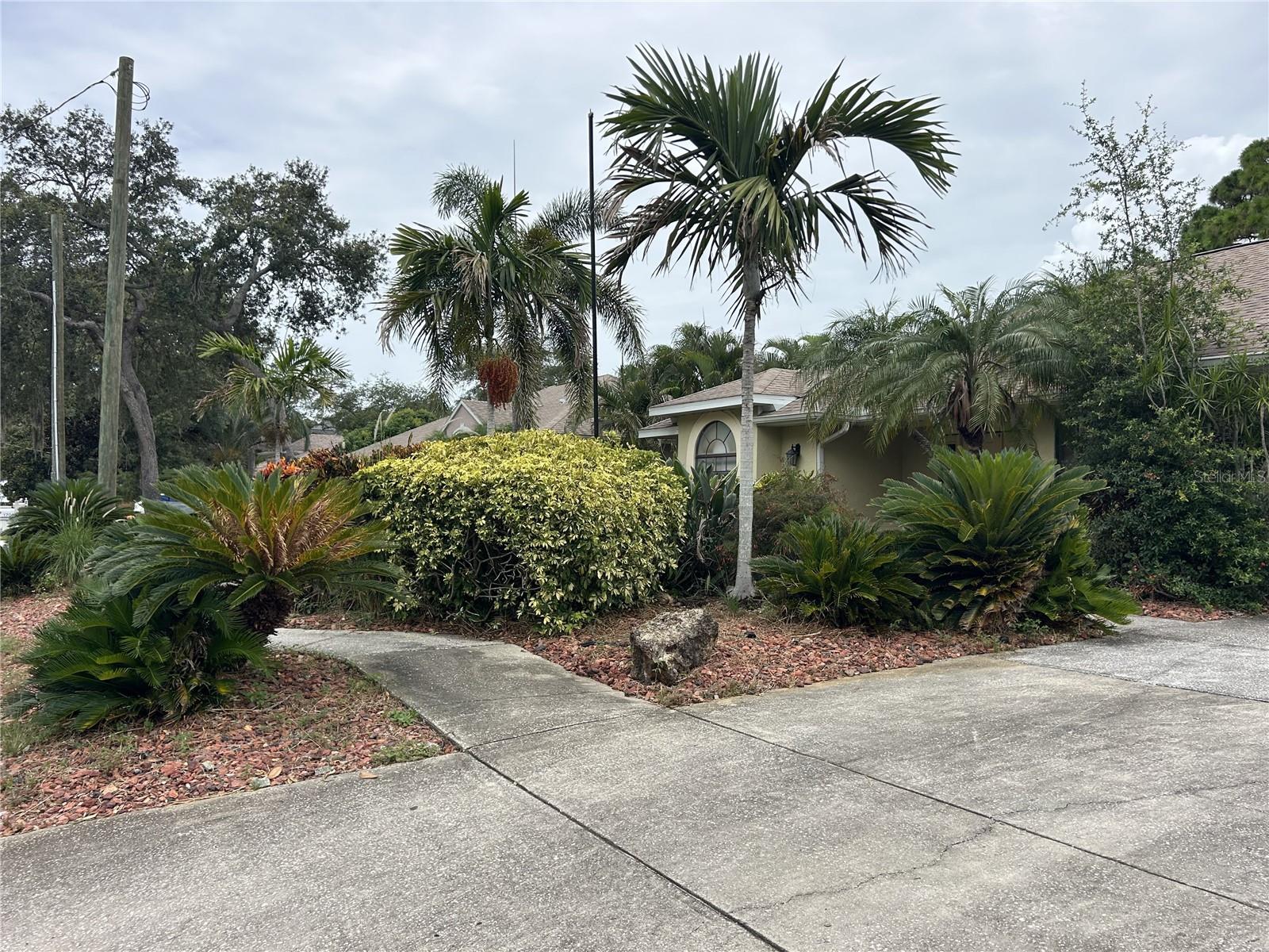 1612 GULF BEACH BLVD — photo 5