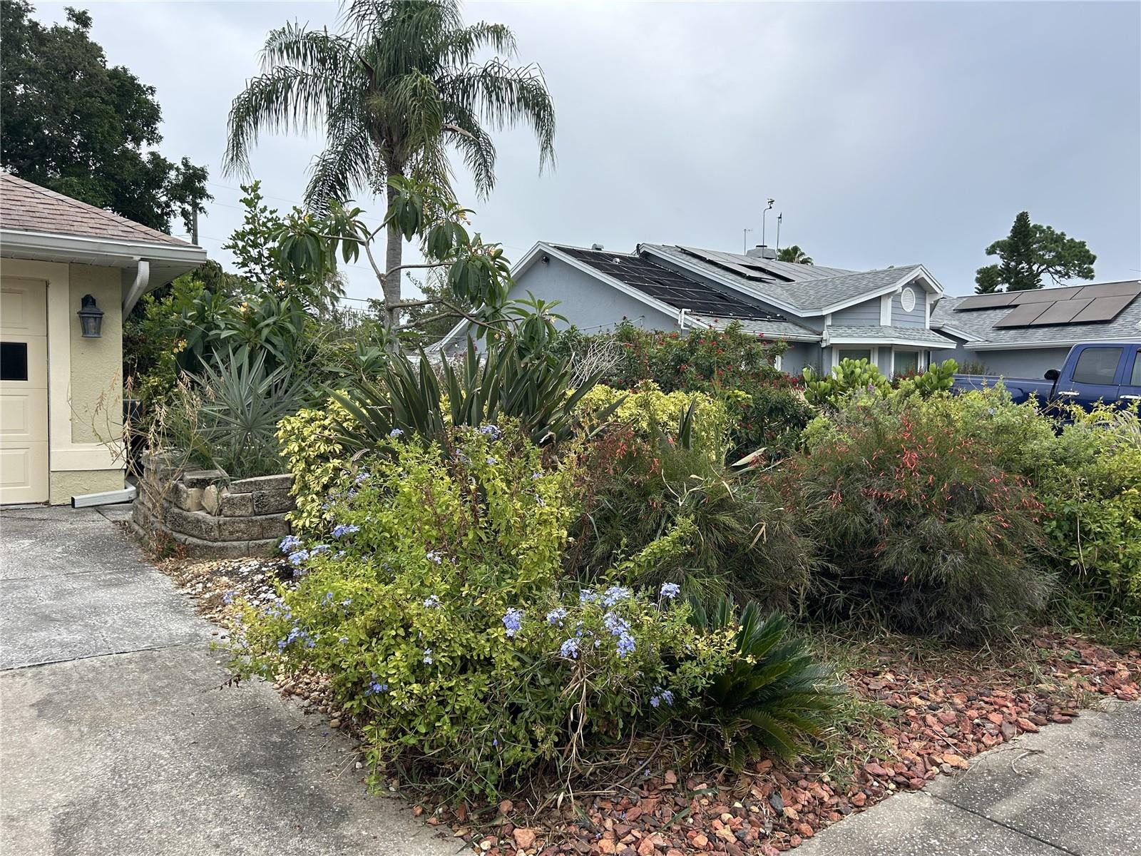 1612 GULF BEACH BLVD — photo 6