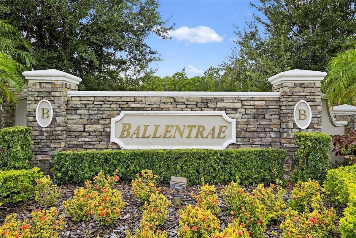 12433 BALLENTRAE FOREST DR — photo 14