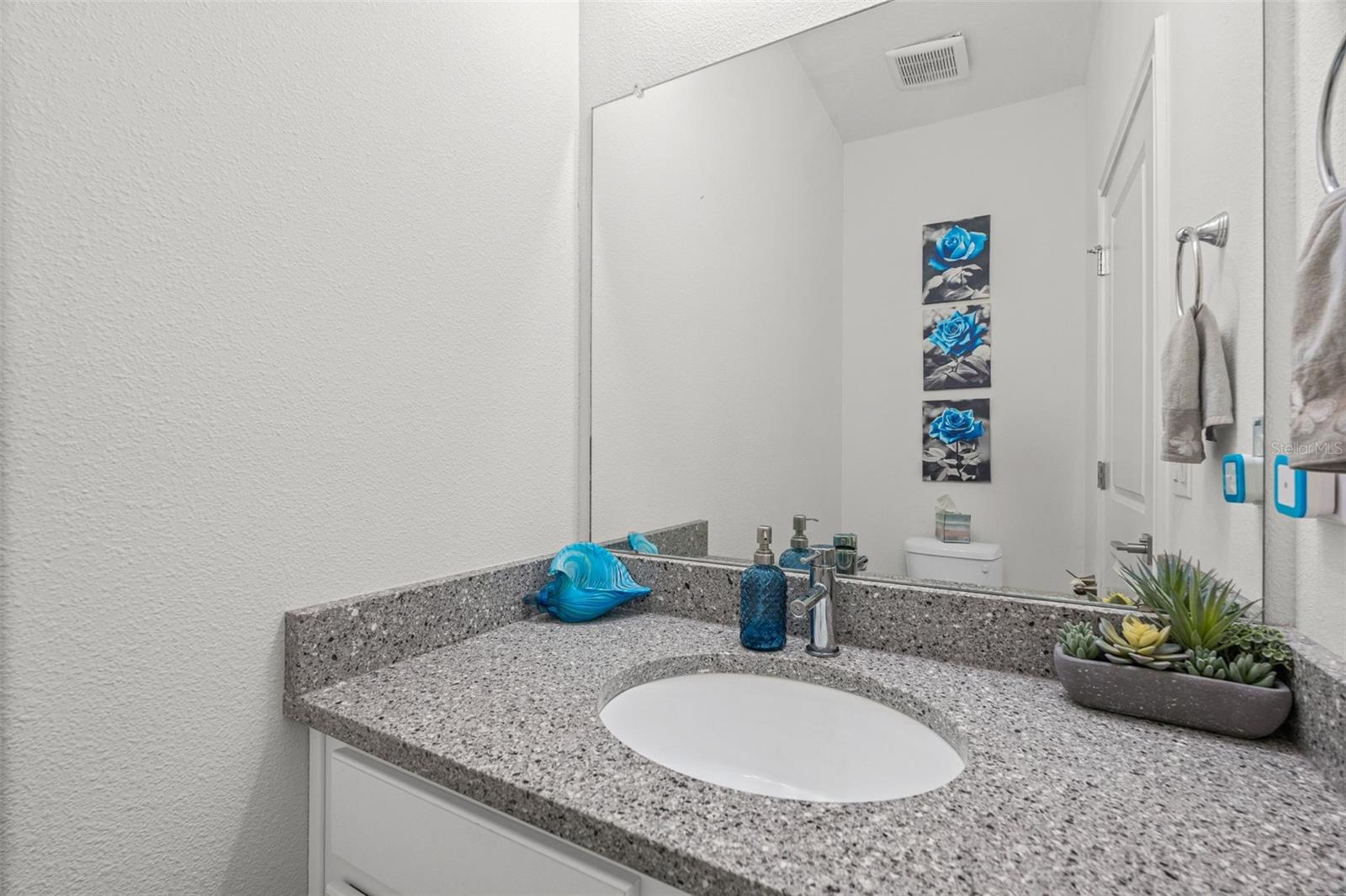 4327 REISSWOOD LOOP — photo 14