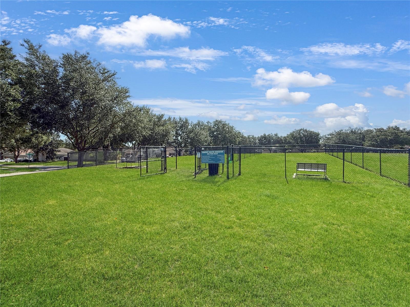 3012 SUMMER HOUSE DR — photo 37