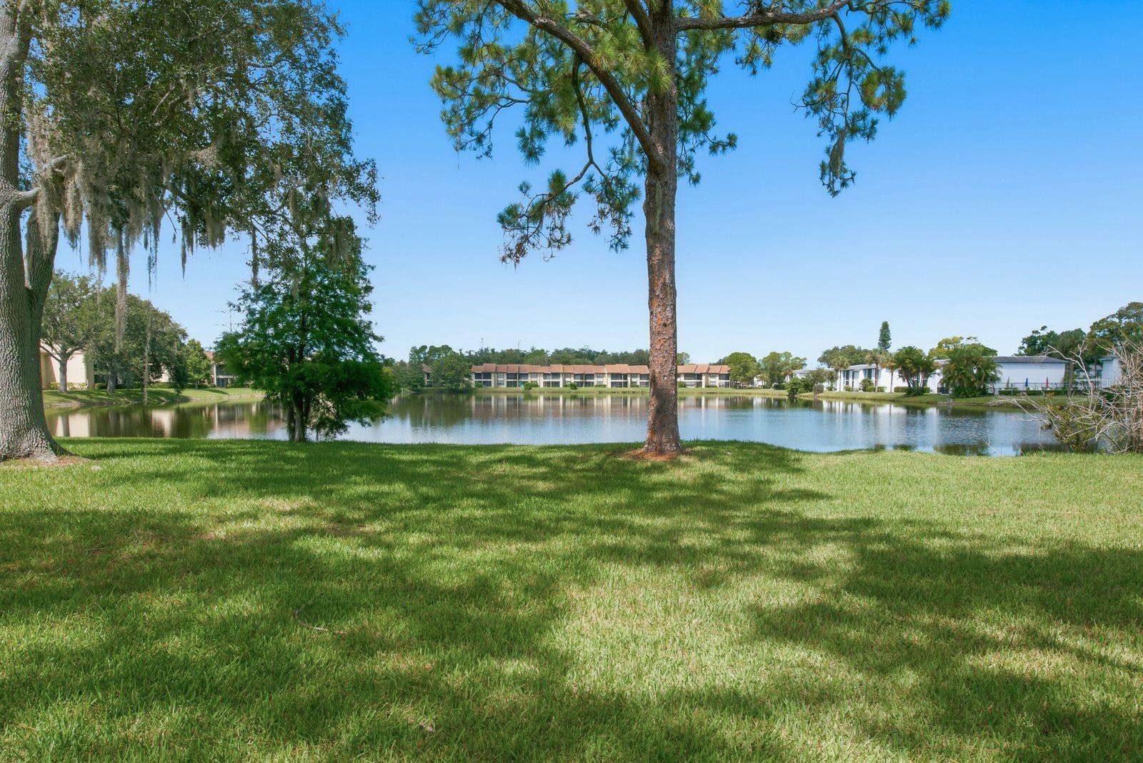 10 WOODLAKE PL — photo 37