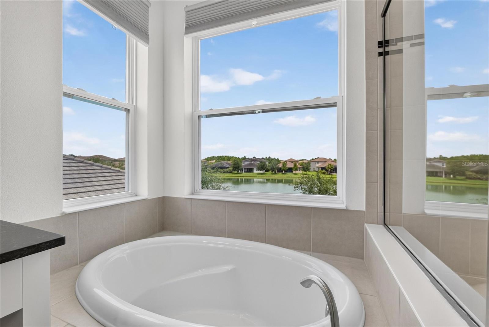 31142 LINDENTREE DR — photo 26
