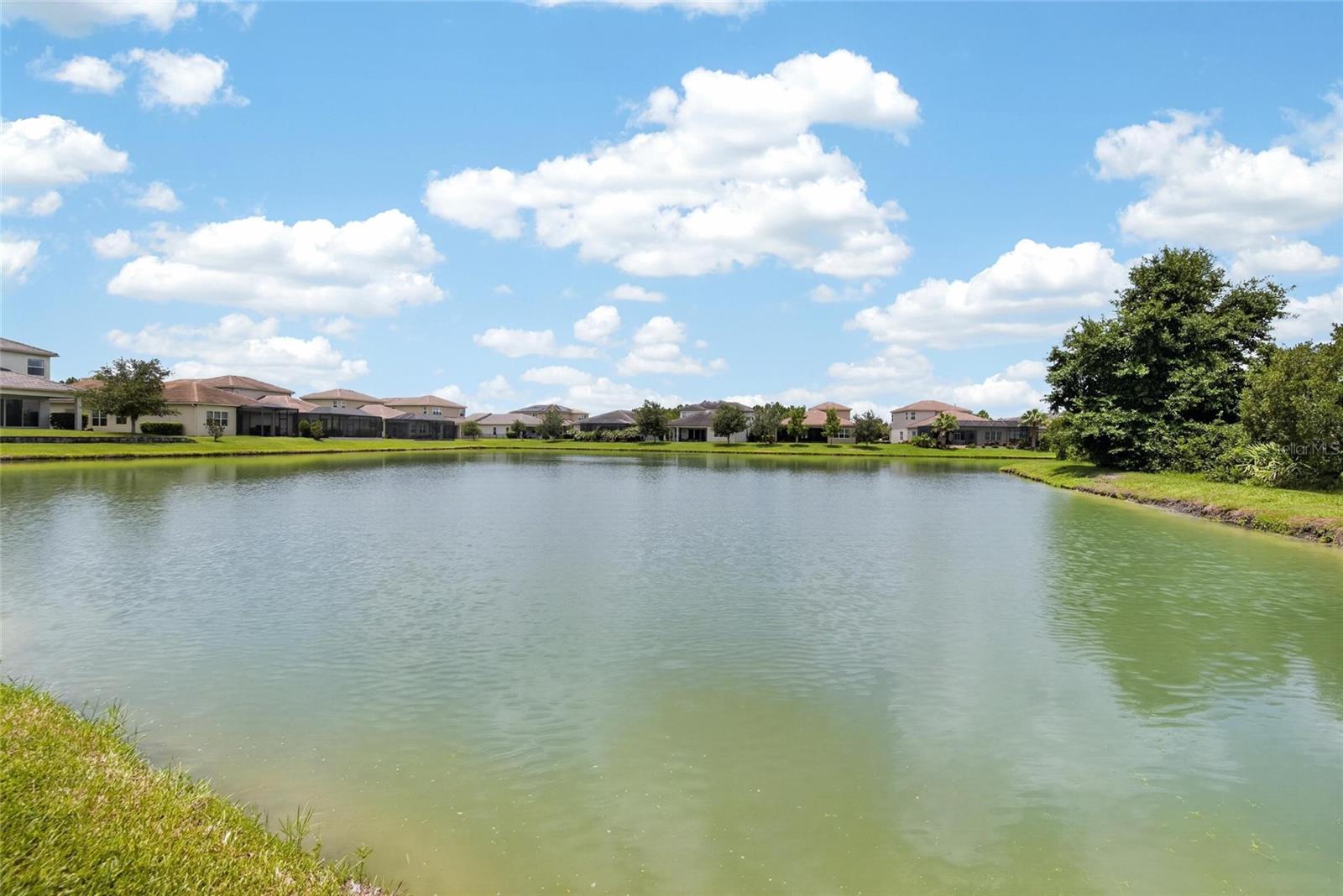 31142 LINDENTREE DR — photo 32