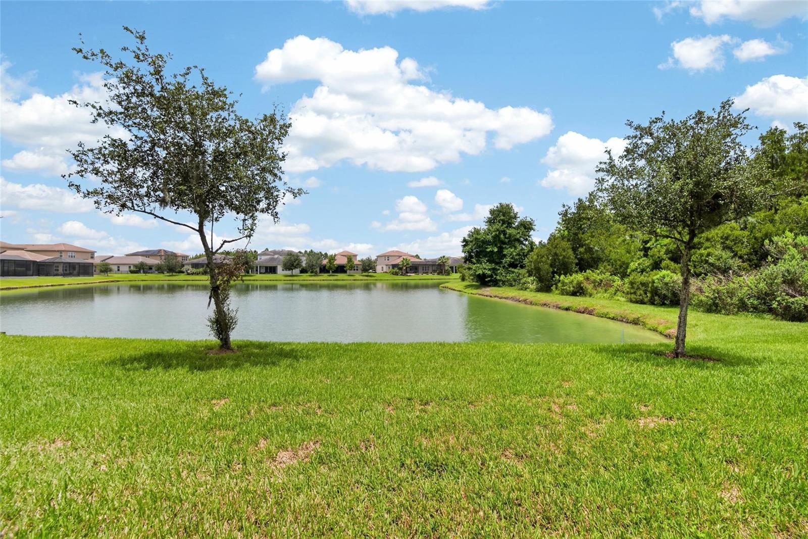 31142 LINDENTREE DR — photo 31