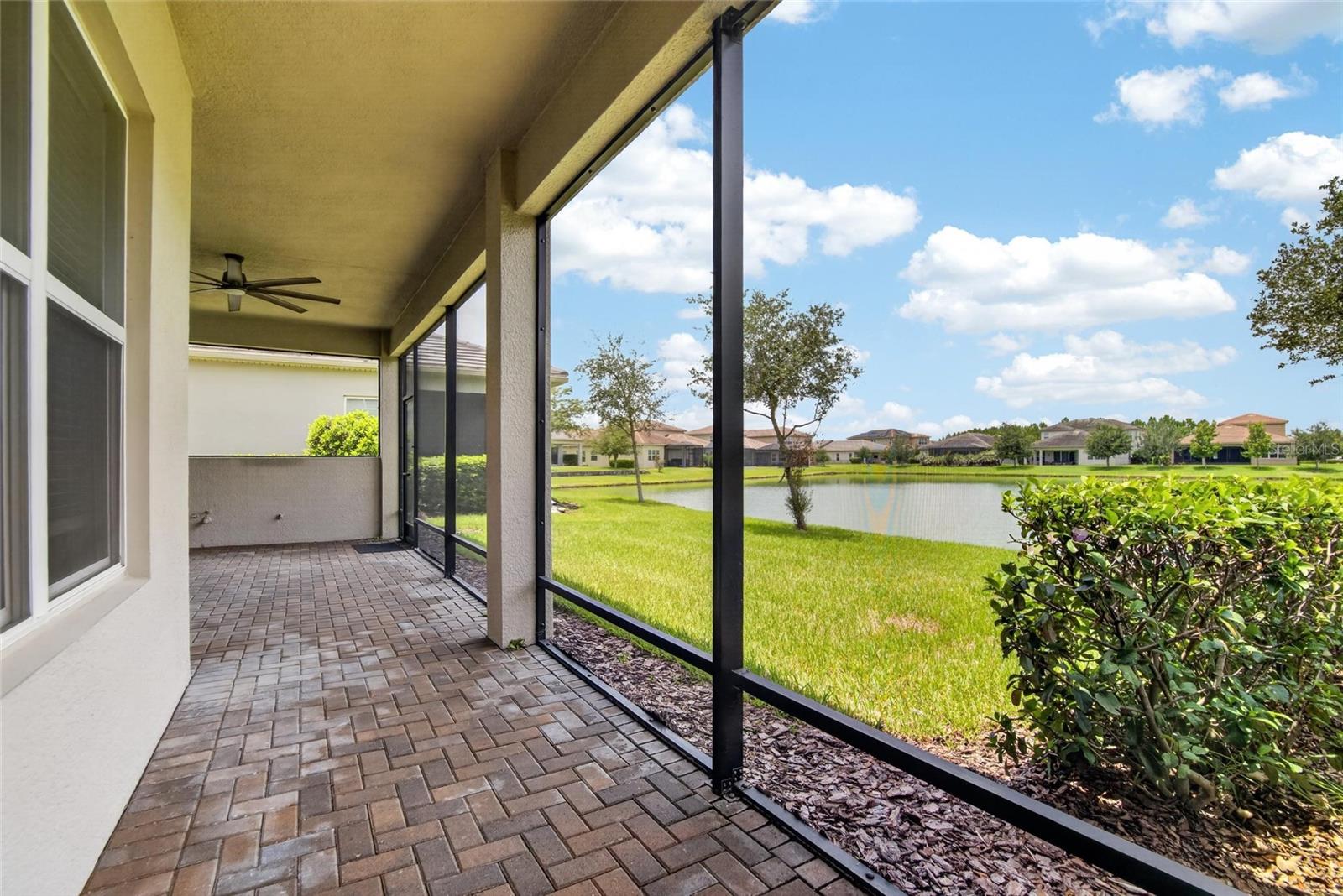 31142 LINDENTREE DR — photo 30