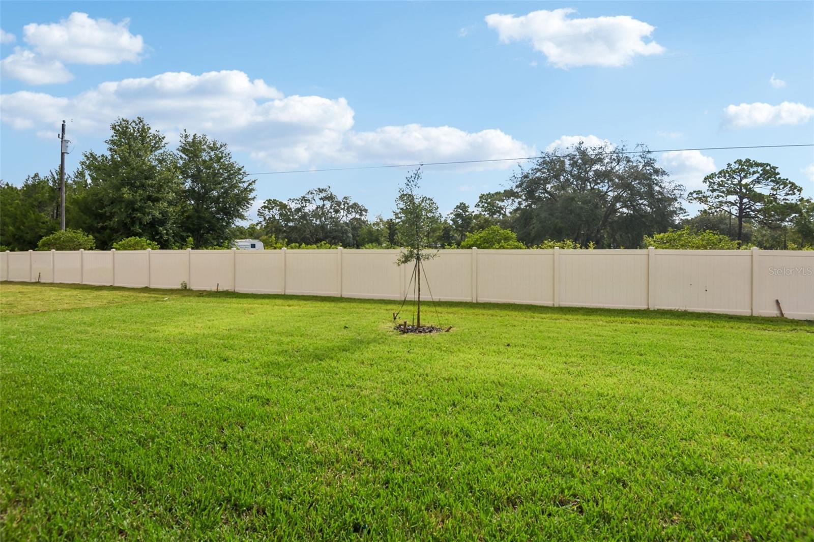 14152 HARVEST PINES LN — photo 37