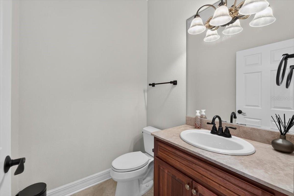 15707 COCHESTER RD — photo 86