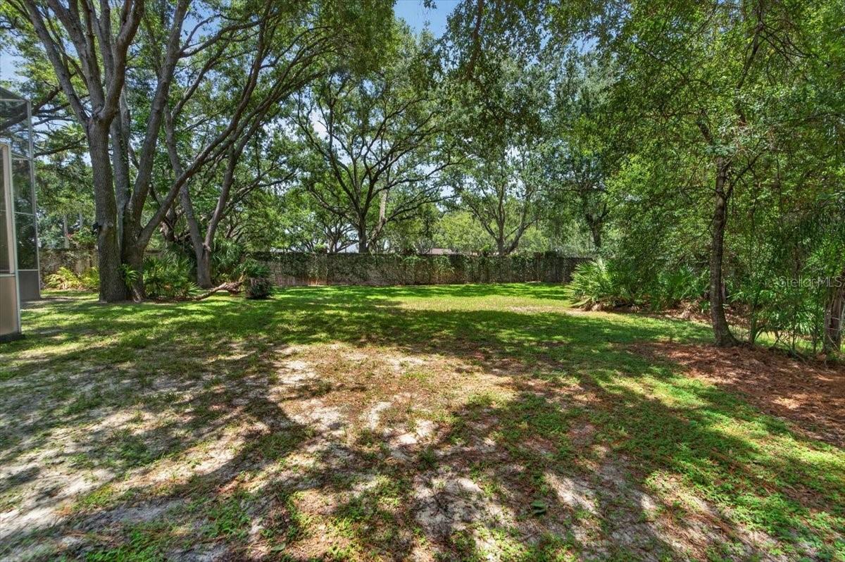 15707 COCHESTER RD — photo 29