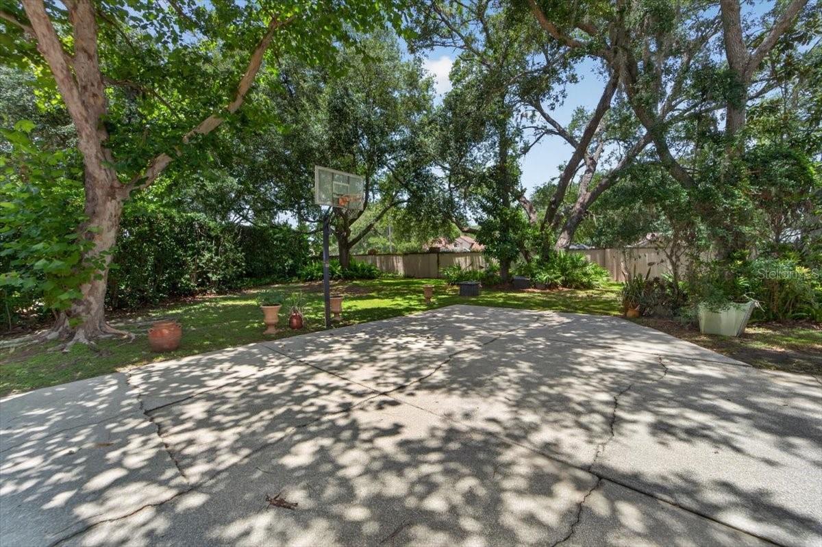 15707 COCHESTER RD — photo 35