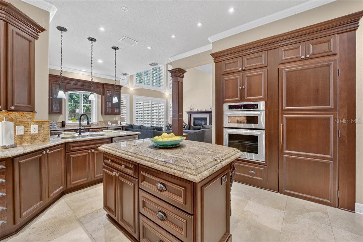 15707 COCHESTER RD — photo 15