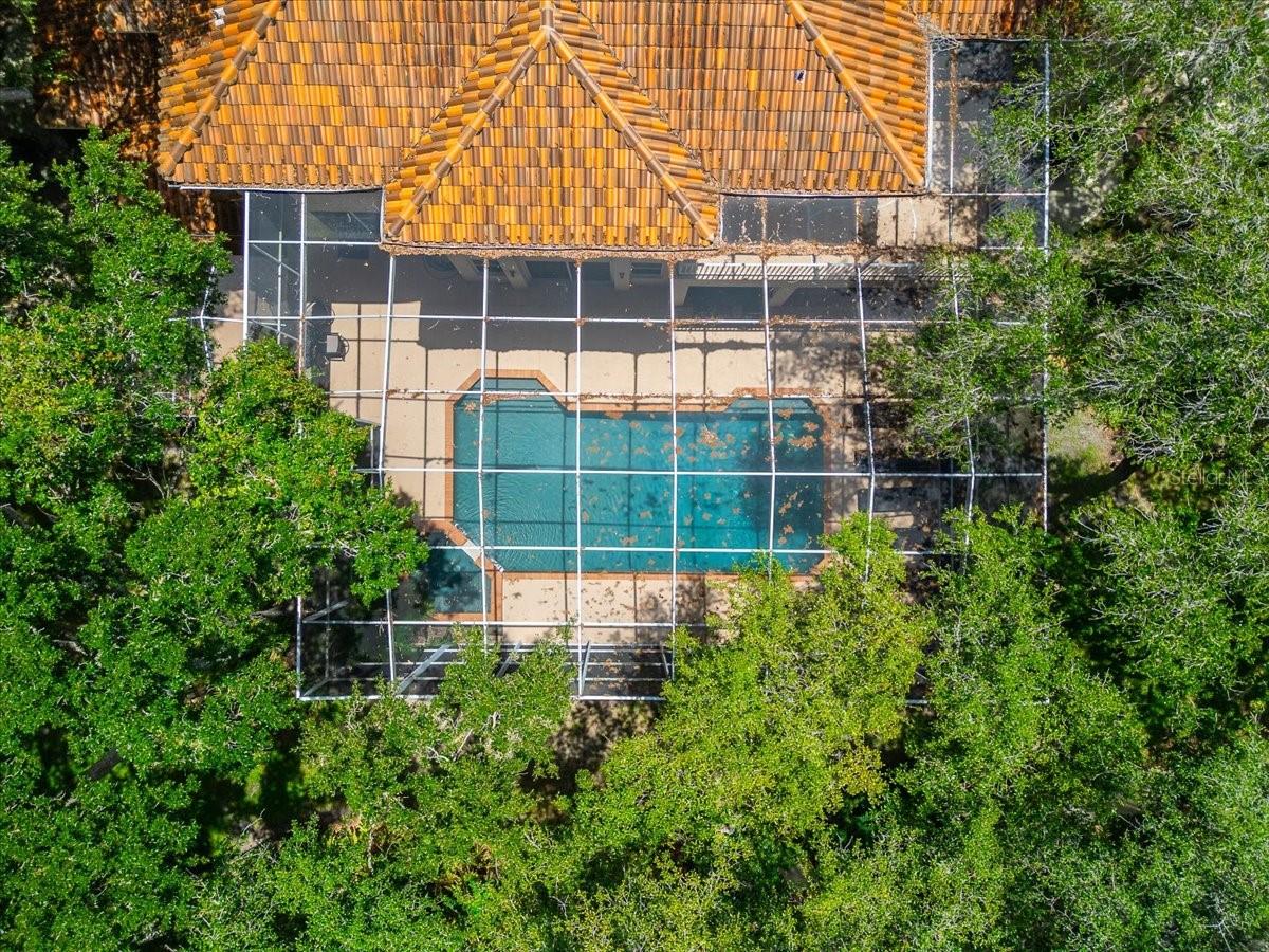 15707 COCHESTER RD — photo 10