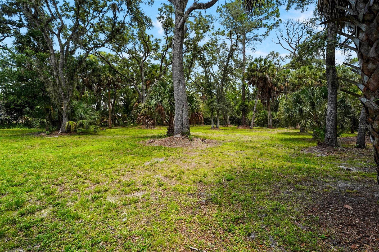 3325 WEBBER WOODS DR — photo 72