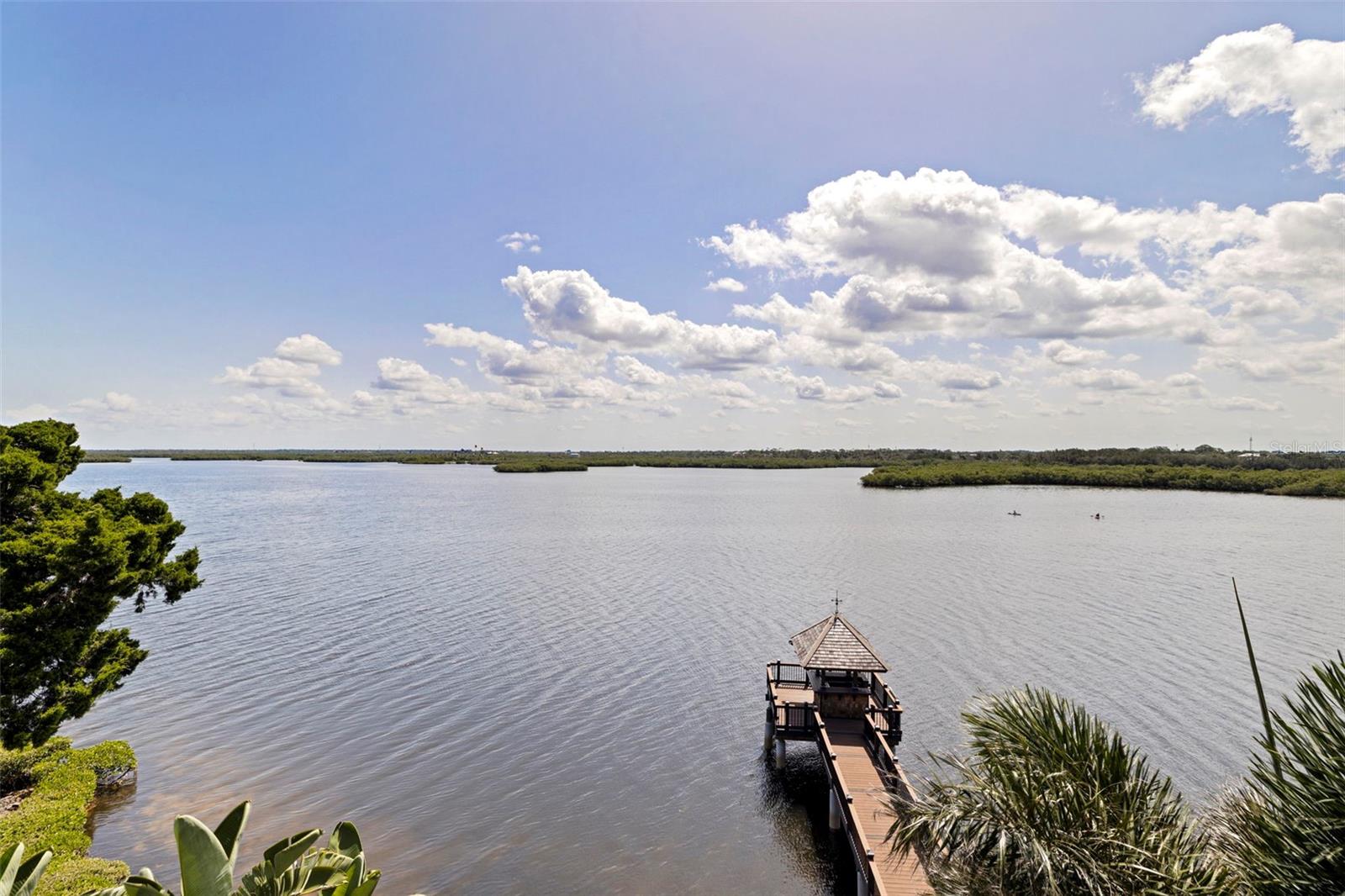 4631 HARBORPOINTE DR — photo 44