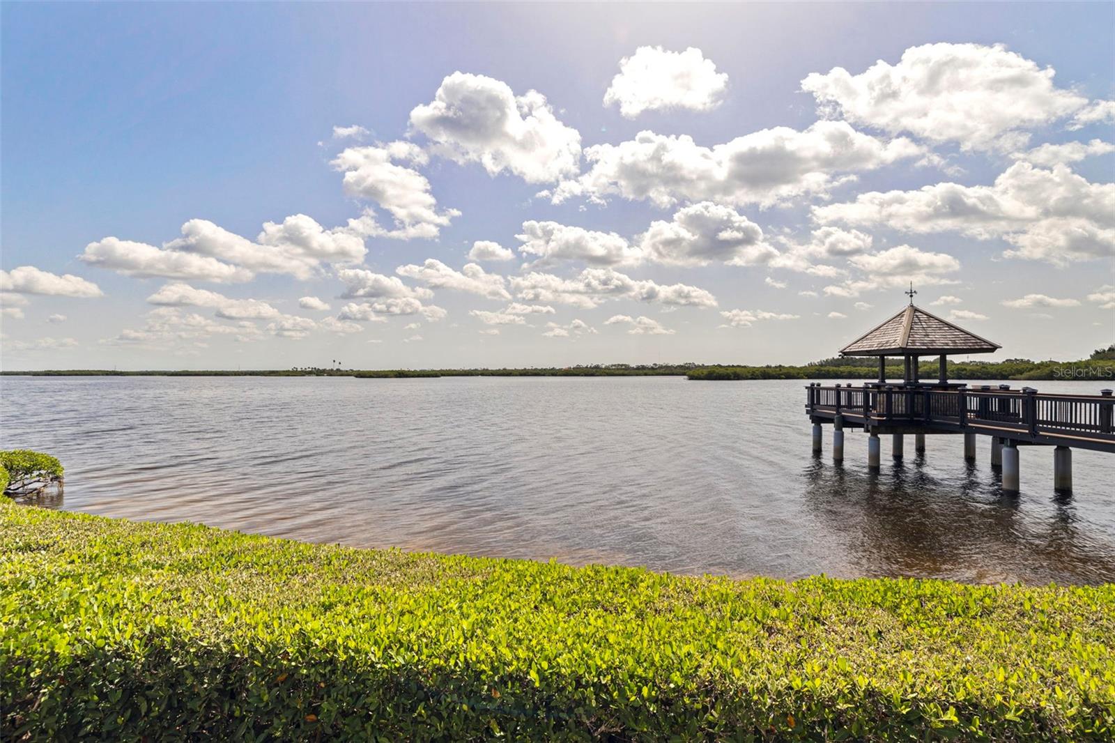 4631 HARBORPOINTE DR — photo 41