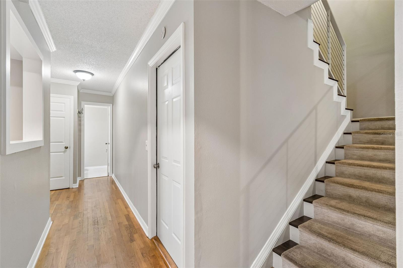 5203 BAYSHORE BLVD #5 — photo 4