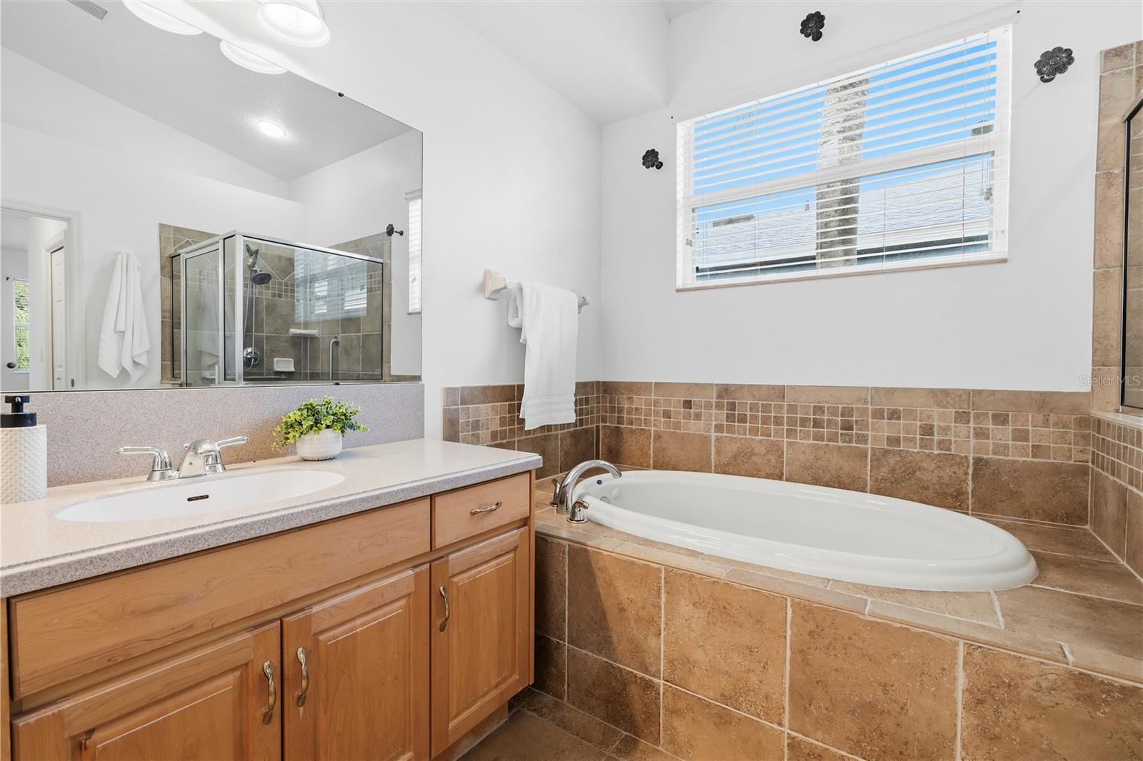 6521 CARRINGTON SKY DR — photo 27